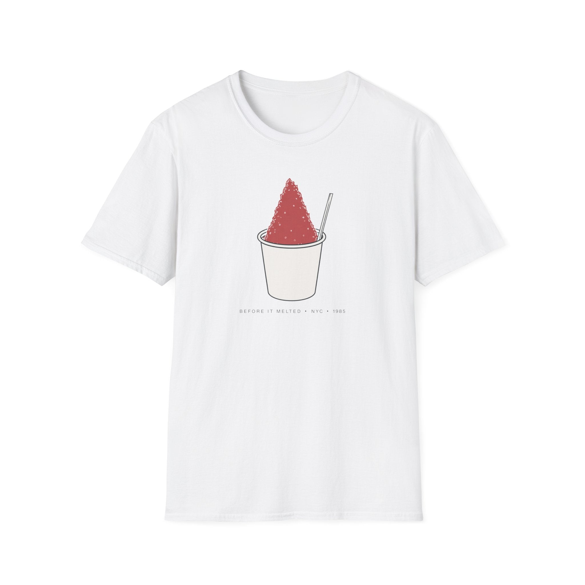 Before It Melted NYC Piragua Snow Cone T-Shirt
