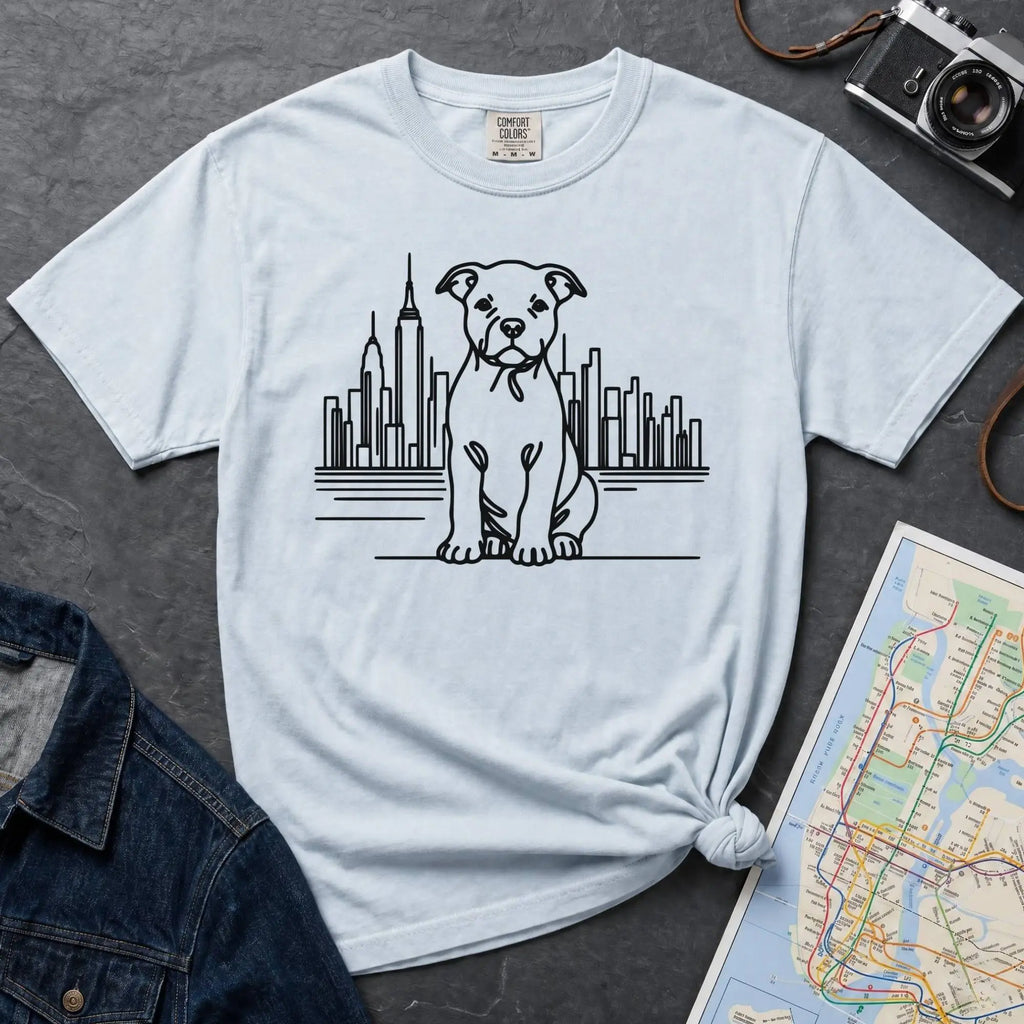 Light blue t-shirt with a Pitbull dog and cityscape design on a dark surface with jeans and a map.