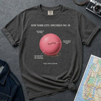 Pepper-colored Comfort Colors T-shirt with NYC Spaldeen specimen front print, styled with denim jacket, camera, and subway map