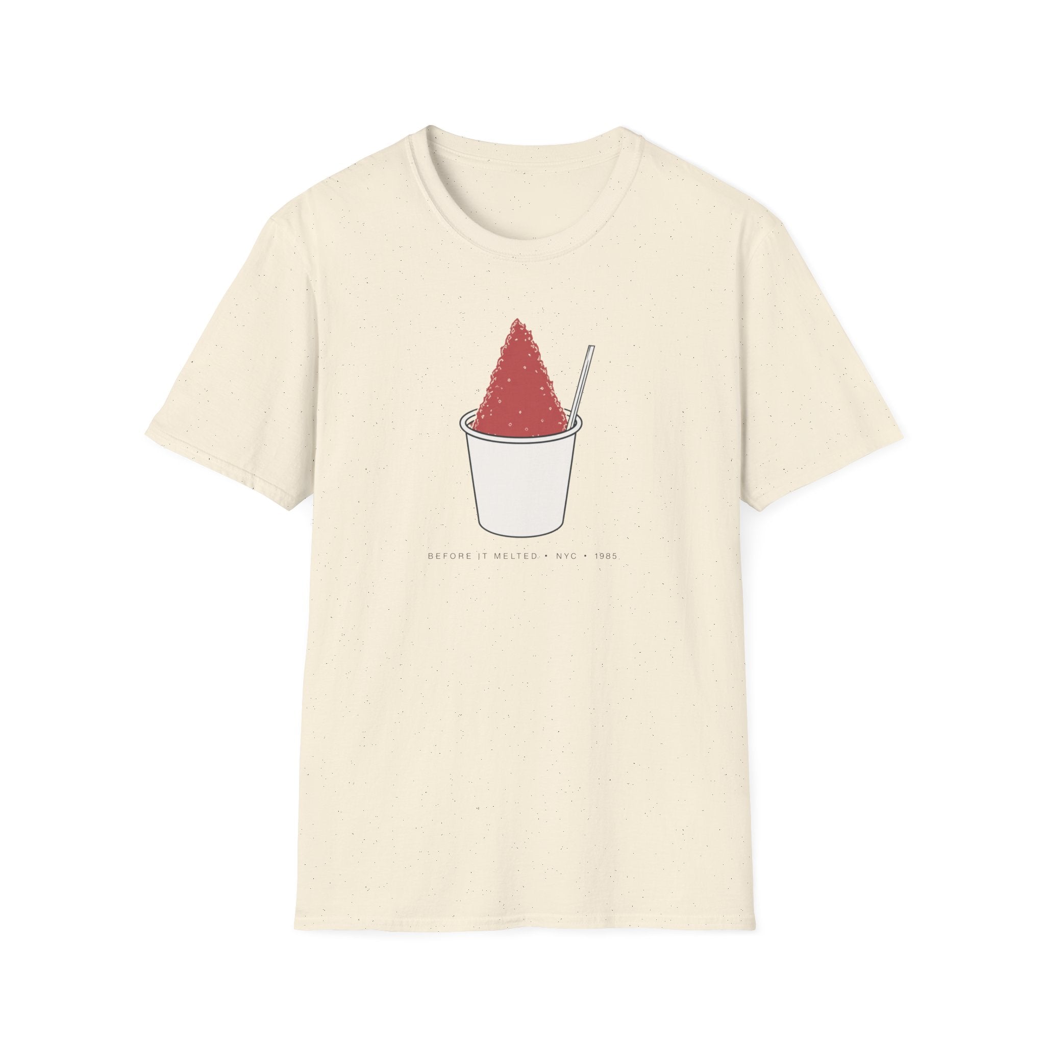 Before It Melted NYC Piragua Snow Cone T-Shirt