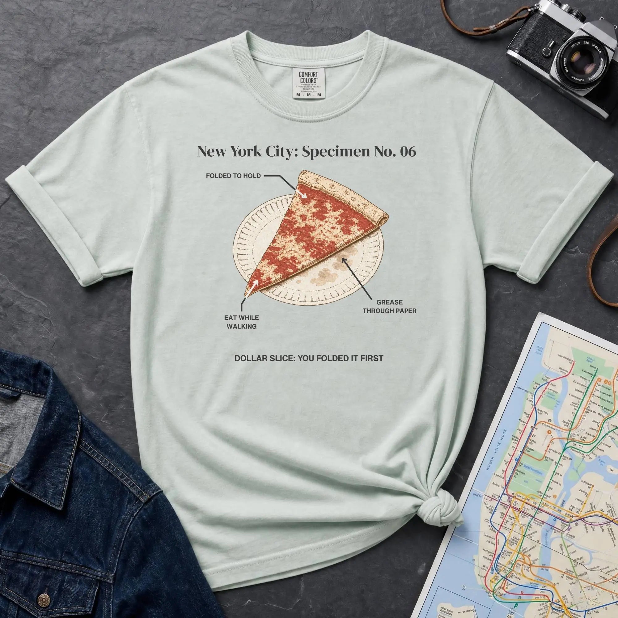 Bay colored Comfort Colors t-shirt featuring a vintage New York City dollar slice pizza graphic with specimen-style callouts and a folded slice on a paper plate.